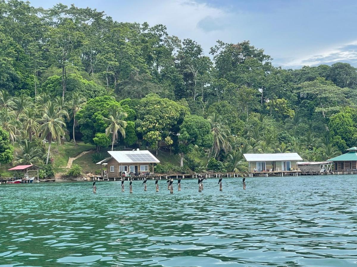 Ponci'S Gate To Gaia Holistic Center Otel Bocas Town Dış mekan fotoğraf