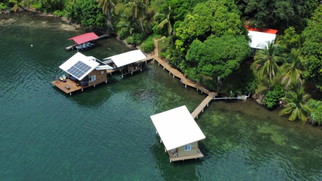 Ponci'S Gate To Gaia Holistic Center Otel Bocas Town Dış mekan fotoğraf