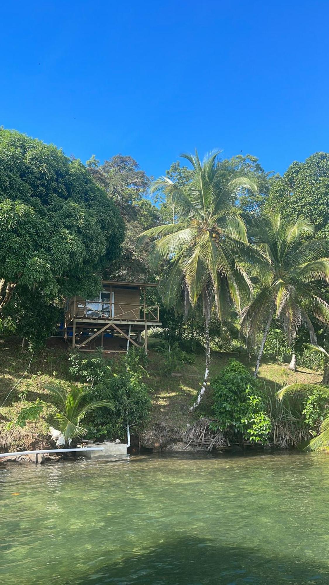 Ponci'S Gate To Gaia Holistic Center Otel Bocas Town Dış mekan fotoğraf