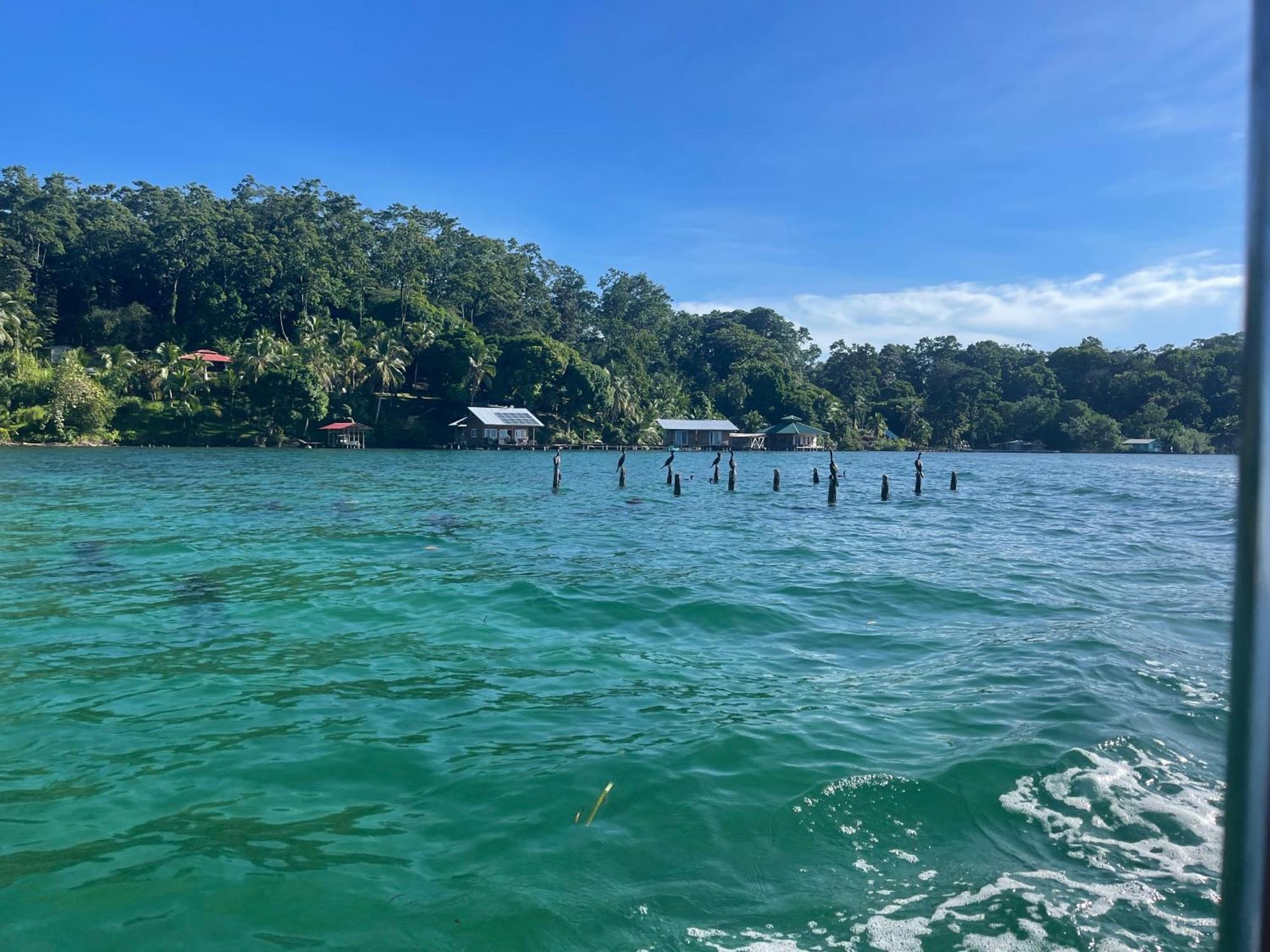 Ponci'S Gate To Gaia Holistic Center Otel Bocas Town Dış mekan fotoğraf